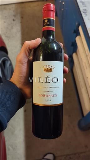 Bordeaux Léo Le Lion d'Excellence 2020