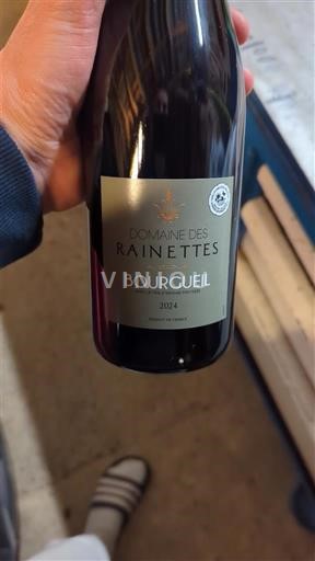 Thung lũng sông Loire Bourgueil Domaine S Rainettes 2024