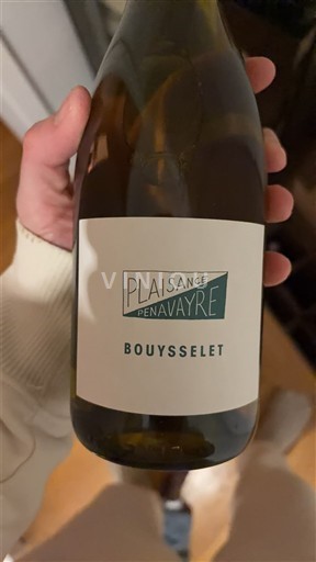 Tây Nam Fronton Plaisance Penavayre Bouysselet 2024