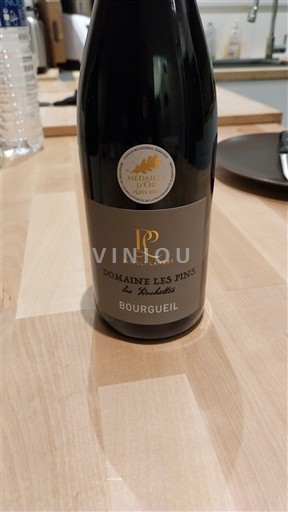 Thung lũng sông Loire Bourgueil Domaine Les Pins La Rochettes Không niên vụ