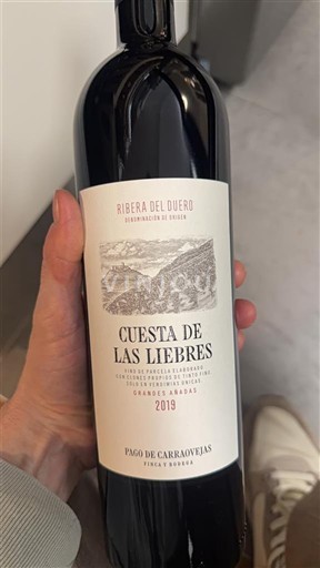 Castilien og León Ribera del Duero Pago de Carraovejas Cuesta de las Liebres 2019