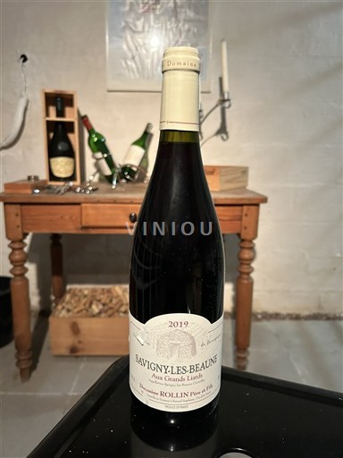 Bourgogne Savigny-lès-beaune Domaine Rollin Père et Fils Aux Grands Liards 2019