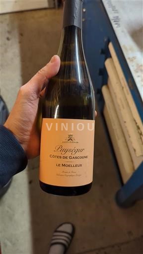 Sudoeste Côtes de Gascogne Puysegur Le Moelleux 2021