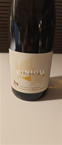 Loirevallei Saumur-champigny Domaine Thierry Germain - Domaine des Roches Neuves L'Échelier 2021