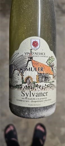 Alsace Muller 2018