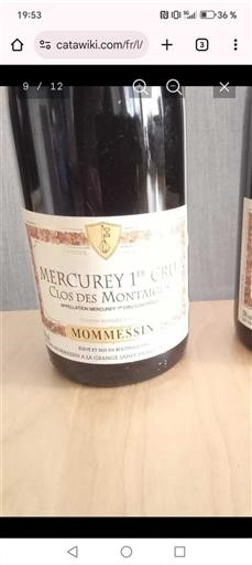 Borgonha Não especificado Premier Cru Mommessin Clos des Montaigus 1999