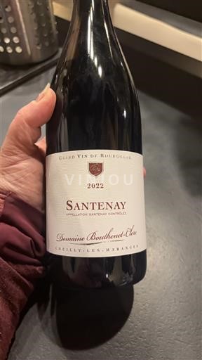 Bourgogne Santenay Domaine Bouthenet-Élise 2022