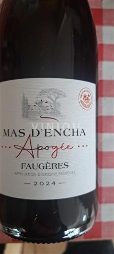 Langvedok Faugères Mas d'Encha Apogée 2024