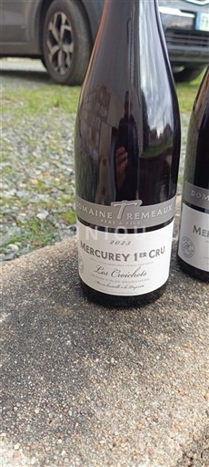 Bourgogne Không được chỉ định Premier Cru Domaine Tremeaux Les Crêtschettes 2023