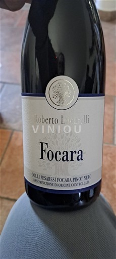 Marche Colli Pesaresi Roberto Lucarelli Focara 2020