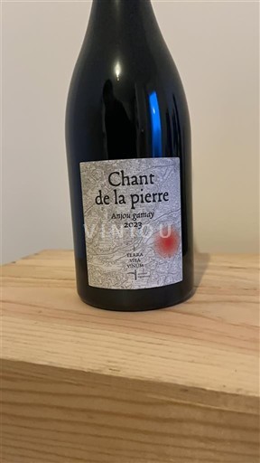 Thung lũng sông Loire Anjou-gamay Terra Vita Vinum Chant de la pierre 2023