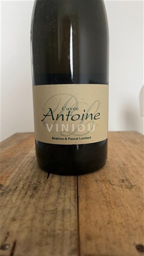 Loire Valley Chinon Béatrice & Pascal Lambert Antoine 2016
