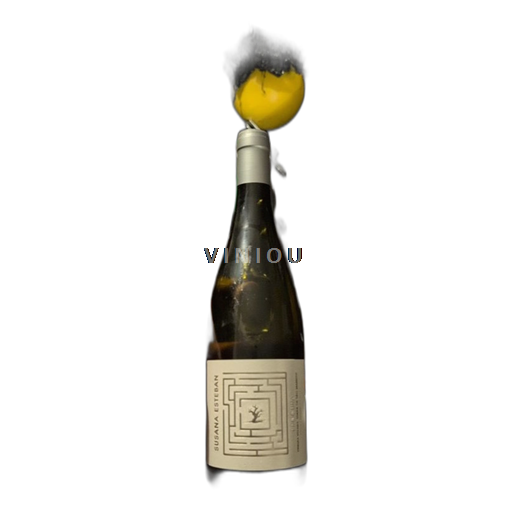 Portugal Alentejo Susana esteban Procura 2019