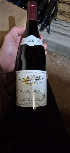 Beaujolais Côte-de-brouilly Domaine André Trichard 2022