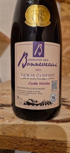 Vallée de la Loire Saumur-champigny Domaine S Barneuneaux Nicolas 2024