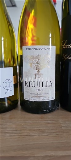 Loirevallei Reuilly Etienne Borgnat 2021