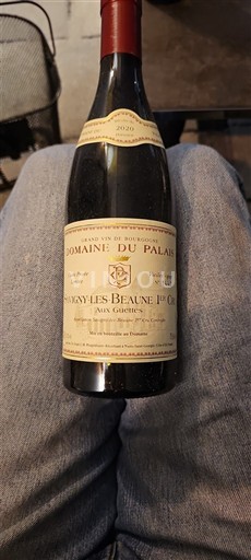 Bourgogne Savigny-lès-beaune Premier Cru Domaine Palais Aux Guettes 2020
