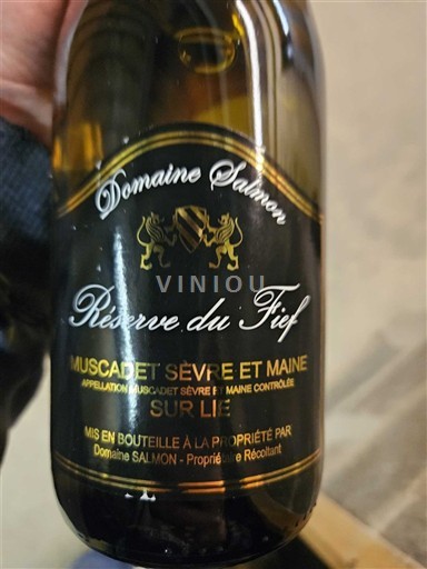 Valle della Loira Muscadet Sèvre et Maine Domaine Salmon Réserve du Fief Senza annata