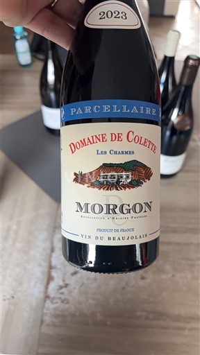 Beaujolais Morgon Domaine Colette Les Charmes 2023