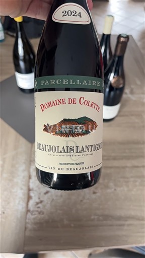 Beaujolais Không được chỉ định Domaine Colette Parcellaire 2024