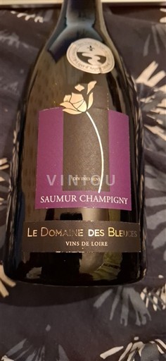 Vallée de la Loire Saumur-champigny Domaine Le Domaine des Bleuces 2015