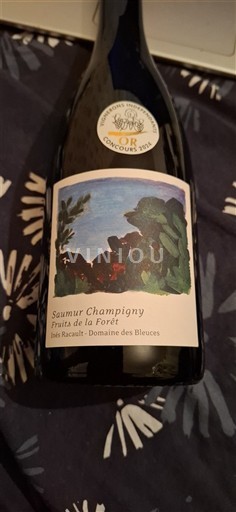 Valle della Loira Saumur-Champigny Domaine S Bleuces Fruits de la Forêt 2022