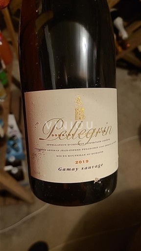 Genève Coteaux de Peissy Pellegrin Gamay sauvage 2019