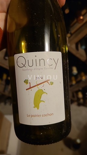 Valle della Loira Quincy Le poirier cochon 2020
