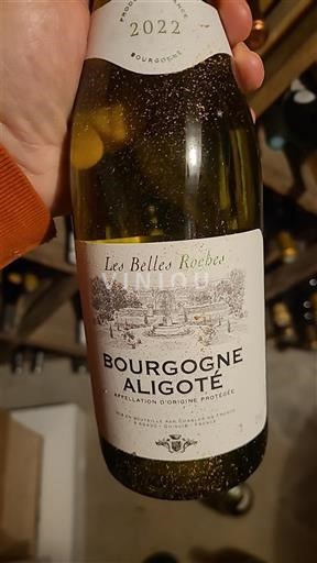 Bourgogne Bourgogne-aligoté Les Belles Roches 2022
