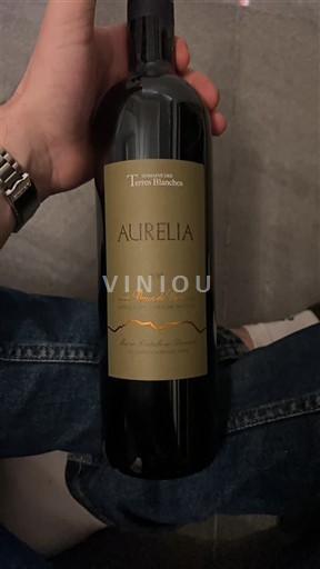 Thung lũng sông Loire Saumur-champigny Domaine S Terres Blanches Aurelia 2018