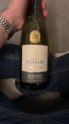 Valle della Loira Muscadet Sèvre et Maine Les Caves de la Nantaise Senza annata