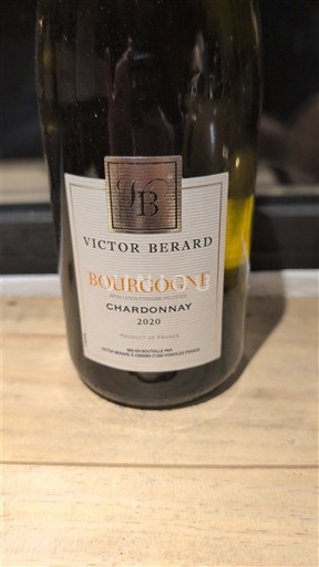 Bourgogne Victor Berard 2020