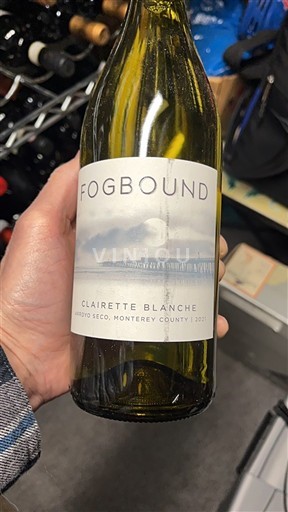 Vùng trồng nho được cấp phép California Arroyo Seco Fogbound 2021