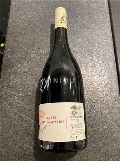 Bourgogne Domaine La Galopière Divine Mystery 2022