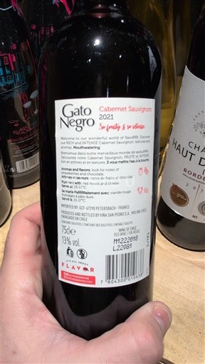 Thung lũng Maipo Maipo Central Gato Negro 2021