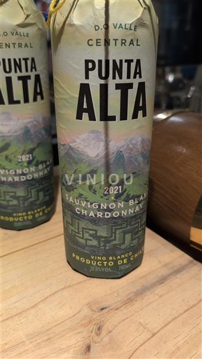 Thung lũng Maipo Maipo Central Punta Alta 2021