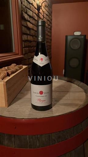 Beaujolais Morgon Louis Tête Les Charmeuses 2024