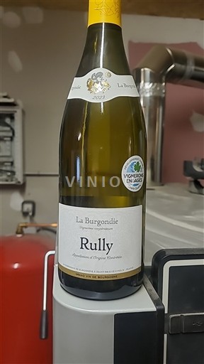 Вина Blanc sec La Burgondie 2023 Francuska Burgundija Руи AOC