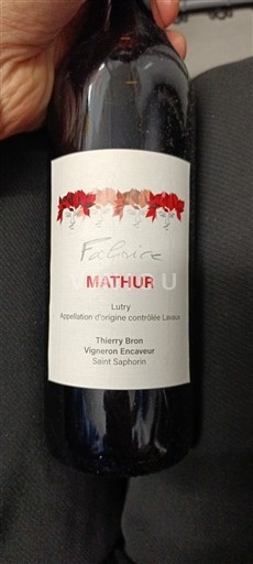 Vaud Lavaux AOC Thierry Bron Mathur 2019