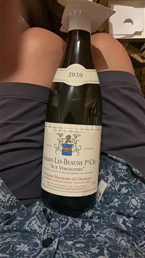 Bourgogne Savigny-lès-beaune Premier Cru Domaine Maillard de Gramont Aux Vergelesses 2020