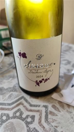 Valle del Loira Sancerre Domaine Daulne-Liger 2024