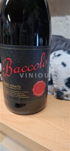Marken Rosso Conero Baccolo 2023
