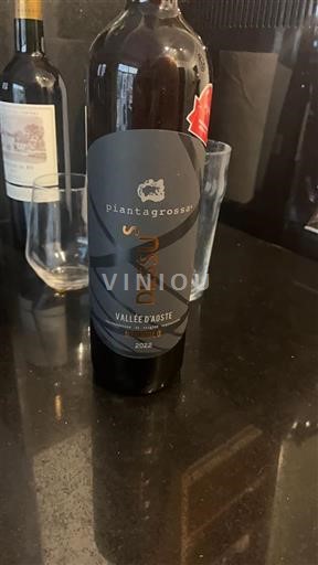 Valle de Aosta Piantagrossa Dexus 2022