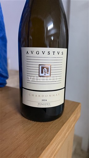 Catalonia Penedès Avgvstvs Chardonnay 2024