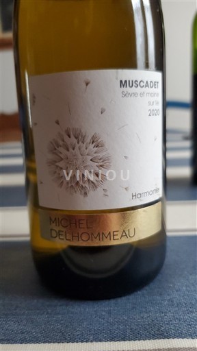Valle della Loira Muscadet Sèvre et Maine Michel Delhommeau Harmonie 2020