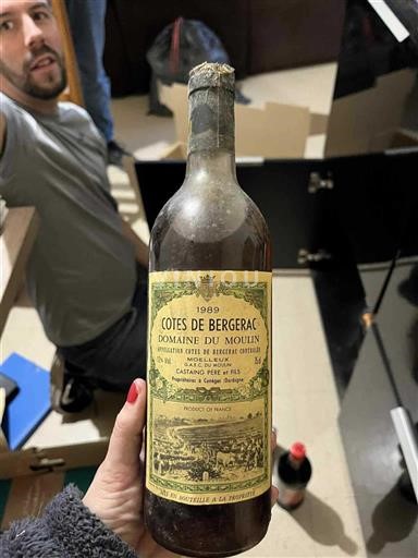 Tây Nam Côtes-de-bergerac Domaine Moulin 1989