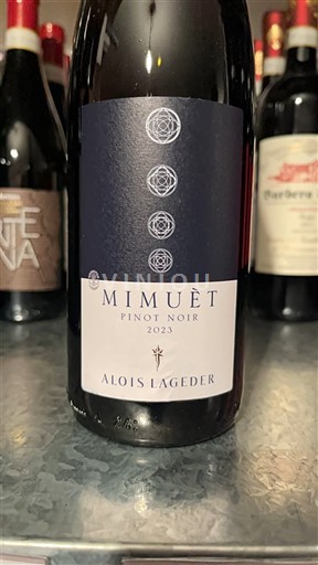 Trentino-Alto Ádige Vigneti delle Dolomiti Alois Lageder Pinot Noir 2023