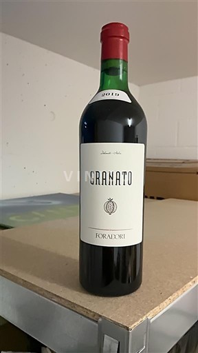 Tridentsko-Horní Adiže Vigneti delle Dolomiti Foradori Granato 2019