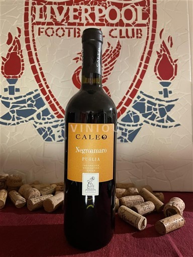 Puglia Caleo Negroamaro 2023