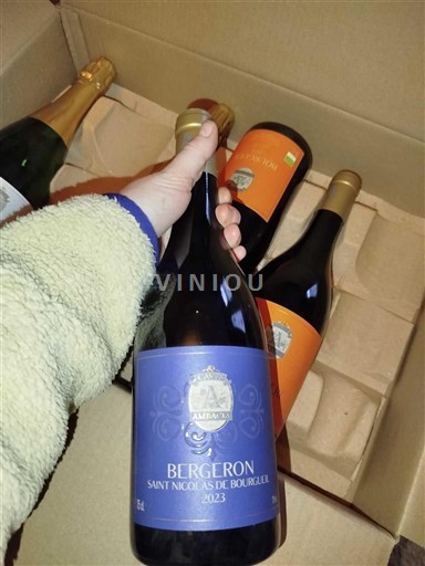 Loire Valley Saint-Nicolas-De-Bourgueil Bergeron 2023